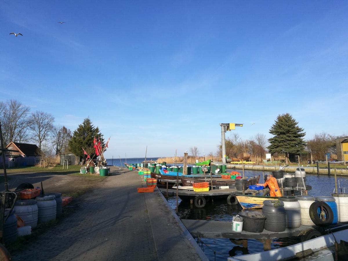 Fewo "Hafenblick" Ueckermünde Eksteriør bilde