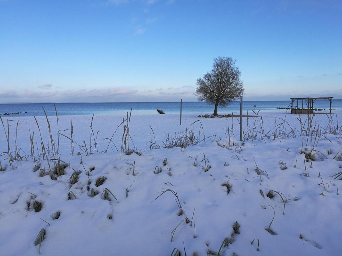 Fewo "Hafenblick" Ueckermünde Eksteriør bilde
