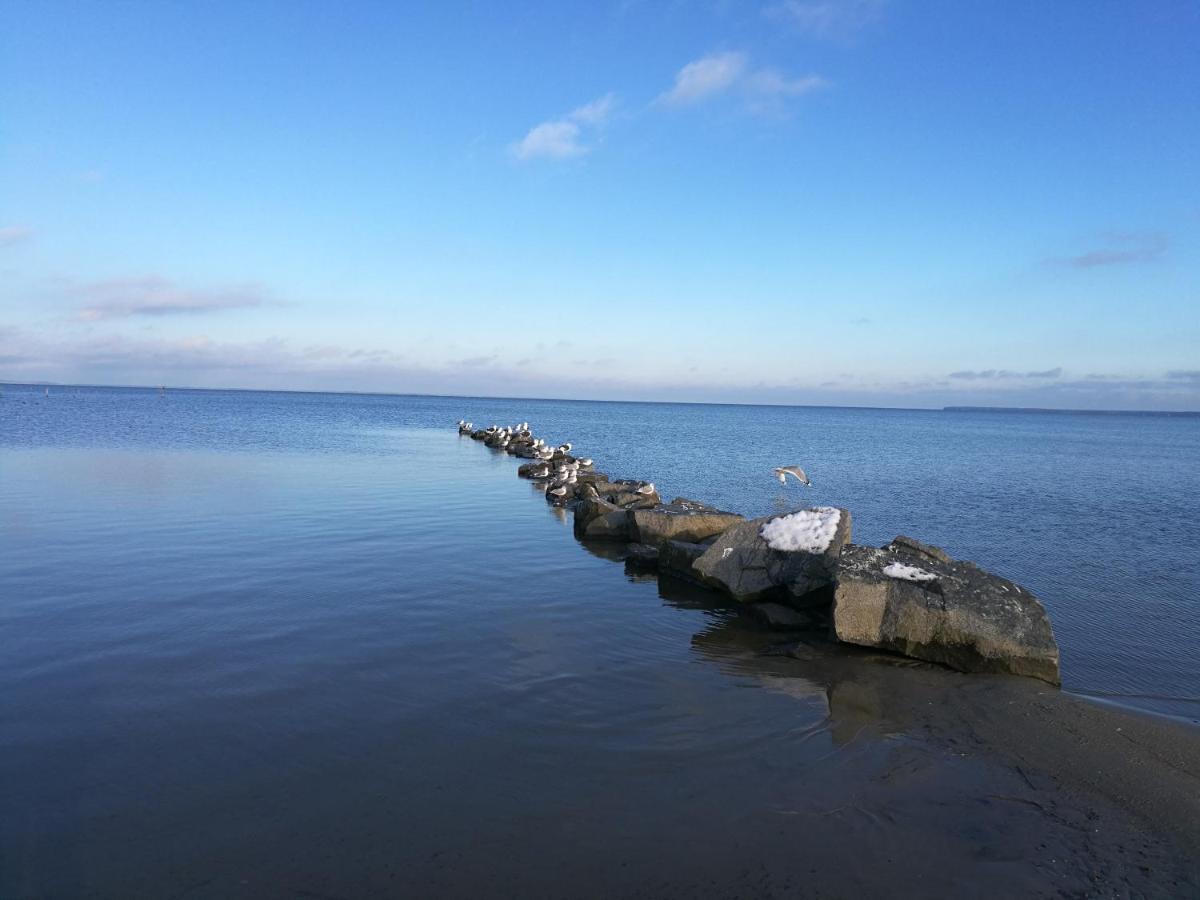 Fewo "Hafenblick" Ueckermünde Eksteriør bilde