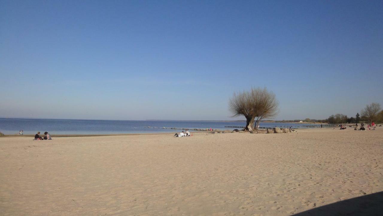 Fewo "Hafenblick" Ueckermünde Eksteriør bilde